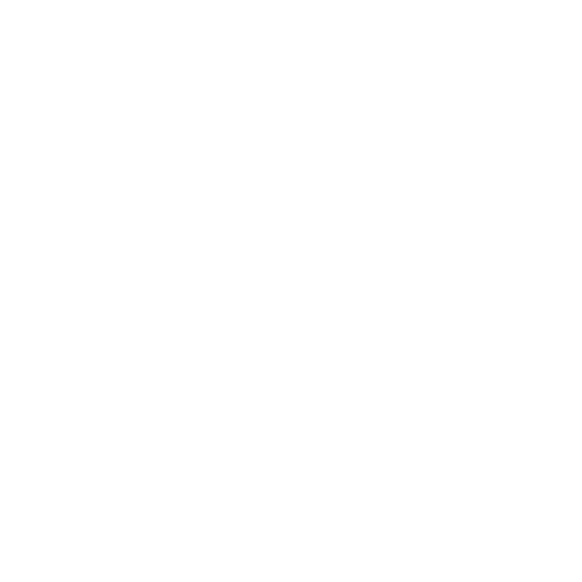 On-Chip network fabric for exceptional data throughout